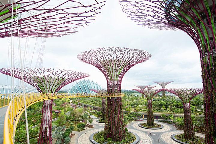 Viewfinder30: Viewfinder1