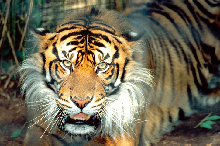 Viewfinder30: Viewfinder4