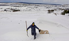 UK to freeze until end of April, forecasters say