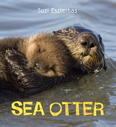 Easter Childrens Books: Sea Otter