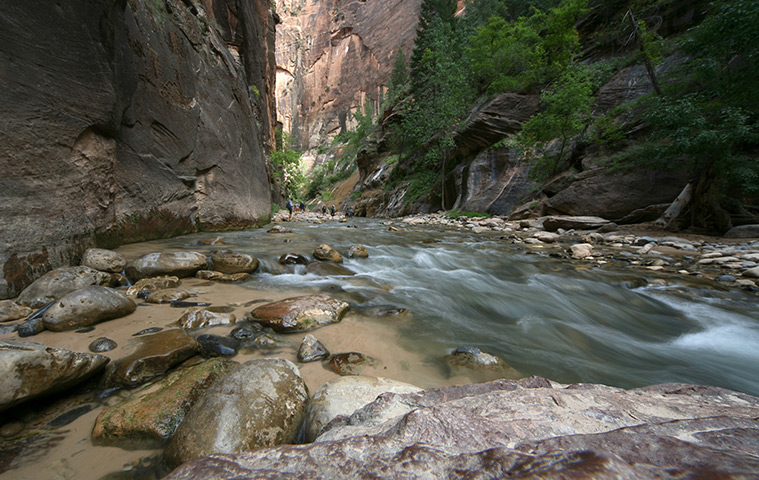 http://static.guim.co.uk/sys-images/Guardian/Pix/pictures/2013/4/1/1364829215810/Zion-National-Park-Utah-026.jpg