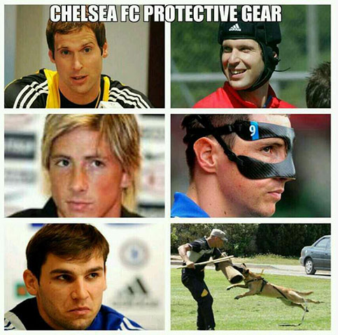 Chelsea-protection-008.jpg