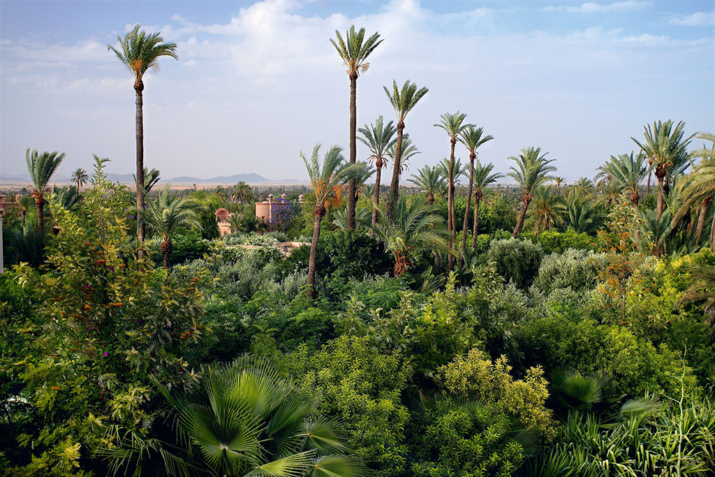 Jnane Tamsna hotel, Marrakech