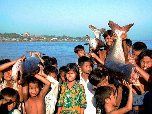 Greater Mekong: Crowd of children with Pra or River catfish, Cambodia (Kampuchea)