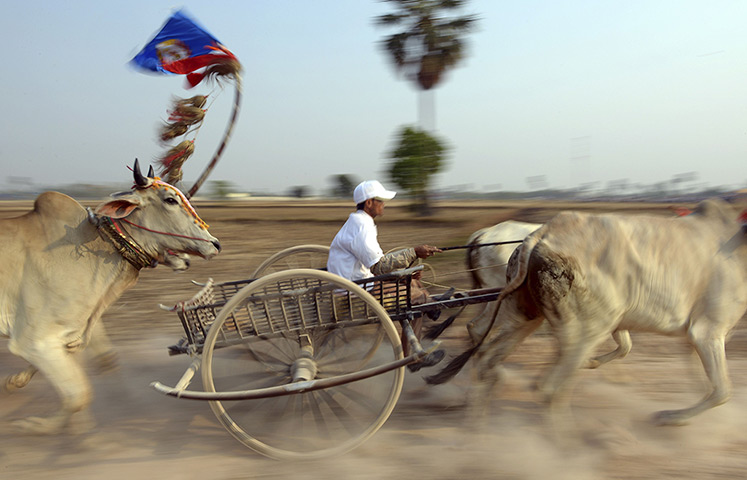 http://static.guim.co.uk/sys-images/Guardian/Pix/pictures/2013/4/7/1365332984943/Cambodian-villagers-ride--003.jpg