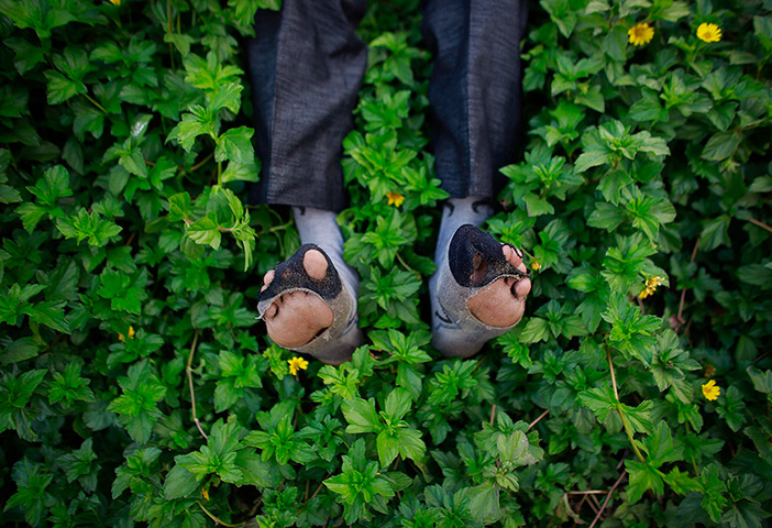 from the agencies: Danish Siddiqui on Bollywood