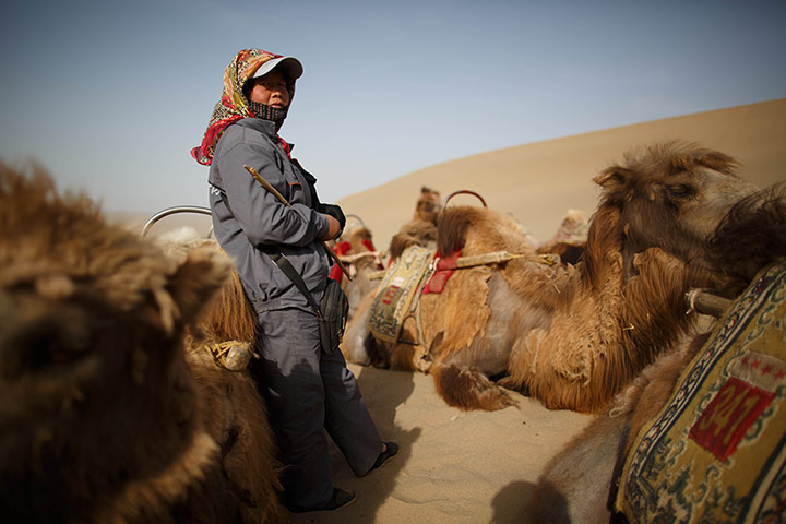 Crescent lake in China: Guide waiting with camels