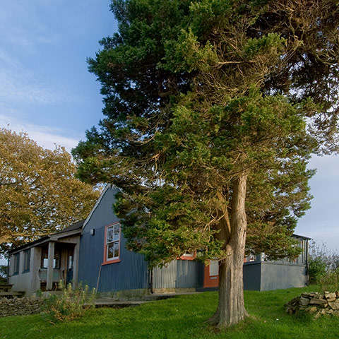 Cool cottages Pembroke: Tin bungalow, Martletwy