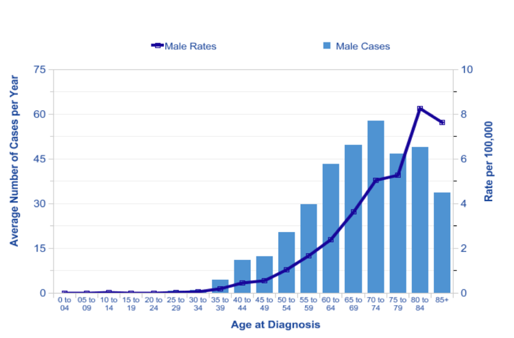 Breast Cancer Charts And Graphs