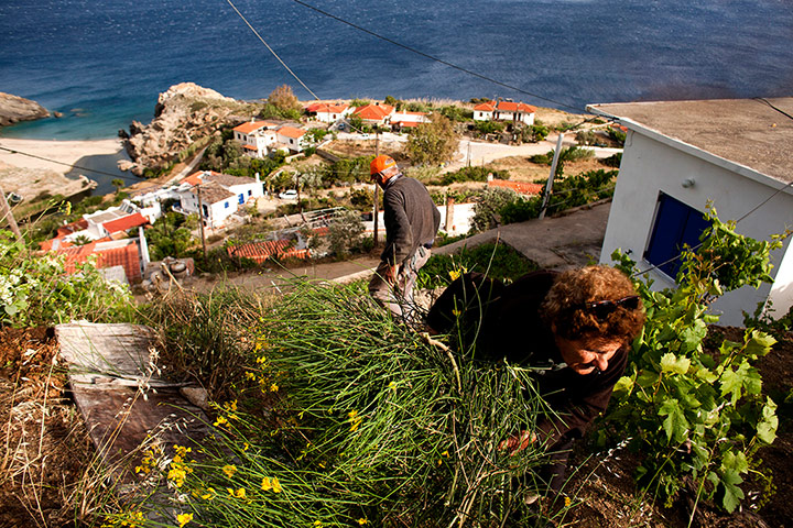 Ikaria - in pictures: Ikaria island - secrets of the blue zone