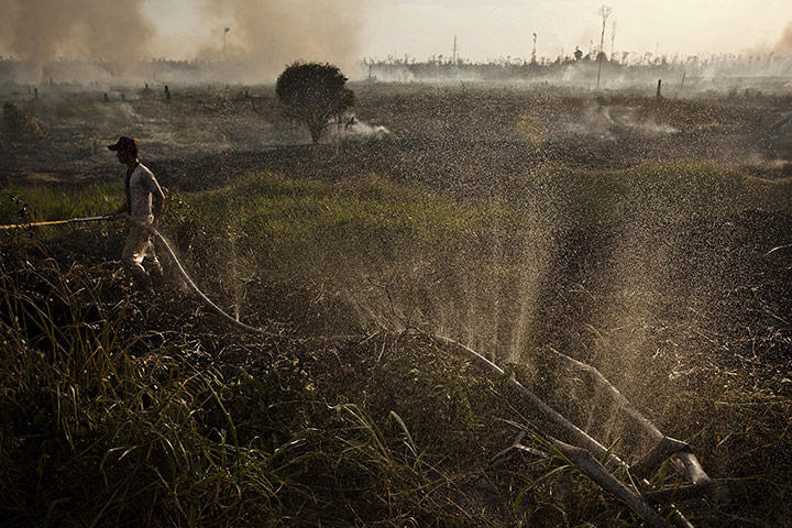 Forest fires in Sumatra's Riau province – in pictures