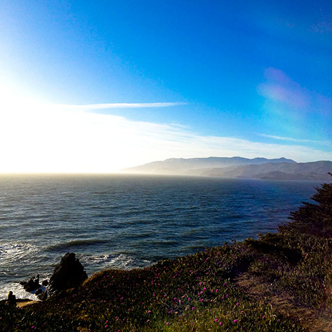 California surf: California surf