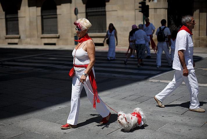 Pamplona Without The Bull: Womand and Dog