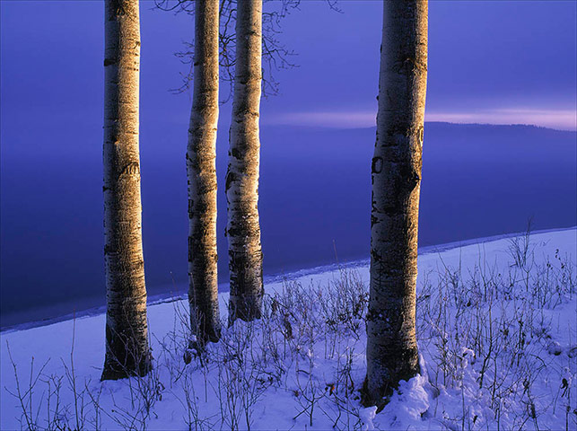 TPOTY winners: Francois lake, British Columbia, Canada