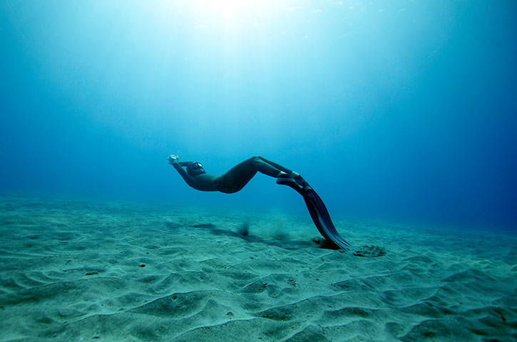 Free diving: Free diving in Hawaii