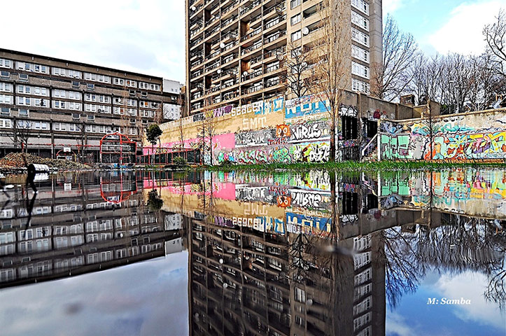 Zadie Smith: Reflecting the Urban Graffitti at the Trellick Tower [West LDN]
