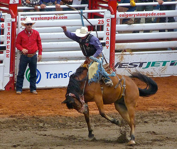 GreatSummerPhotos: Bucking bronco - Calgary Stampede 2013
