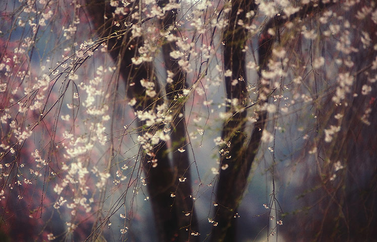 National Geographic 2013: Hideyuki Katagiri