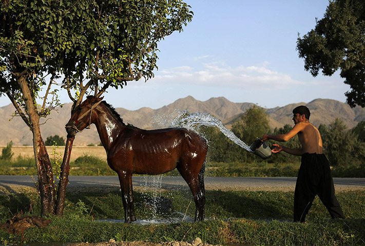 http://static.guim.co.uk/sys-images/Guardian/Pix/pictures/2013/8/9/1376080565586/An-Afghan-man-washes-his--005.jpg