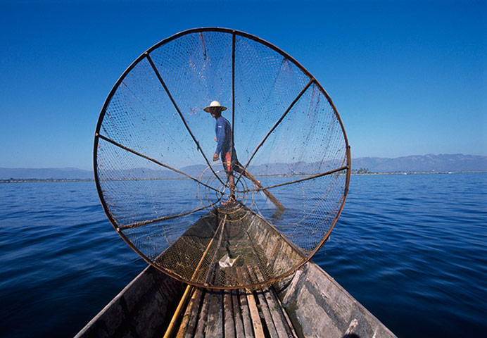 Burma gallery: Fishing, Inle Lake, Shan State, Burma