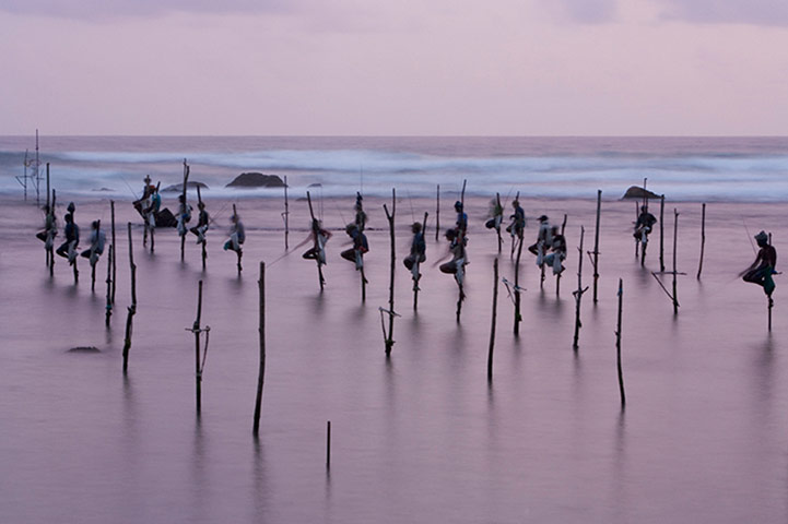 Burma gallery: Stick fishing, Koggala Beach, Sri Lanka