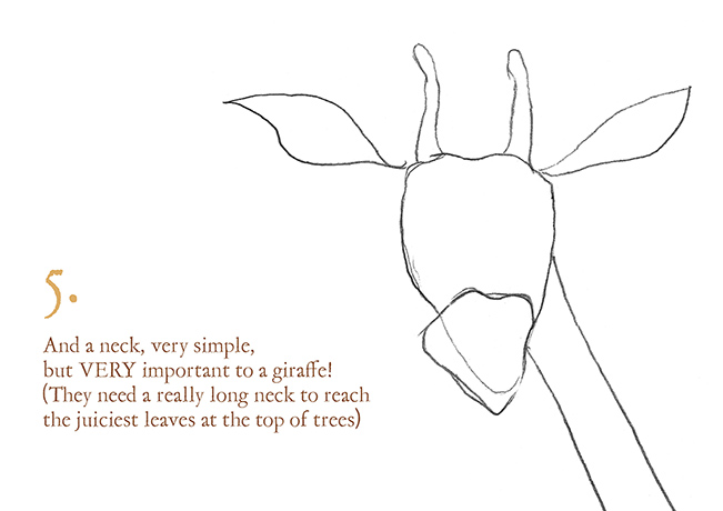 How to draw a giraffe: 5