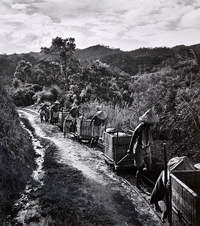 National Geographic: Taiwan