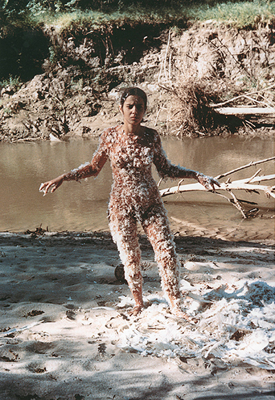 Untitled (Blood and Feathers), 1974 by Ana Mendieta 