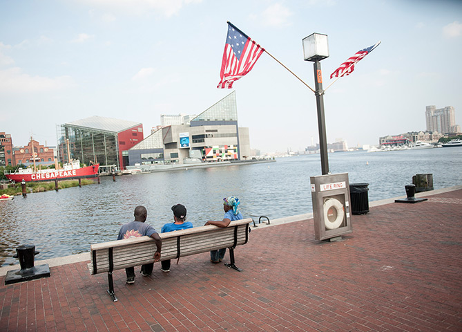 Top 10 Local Baltimore: Baltimore Local View