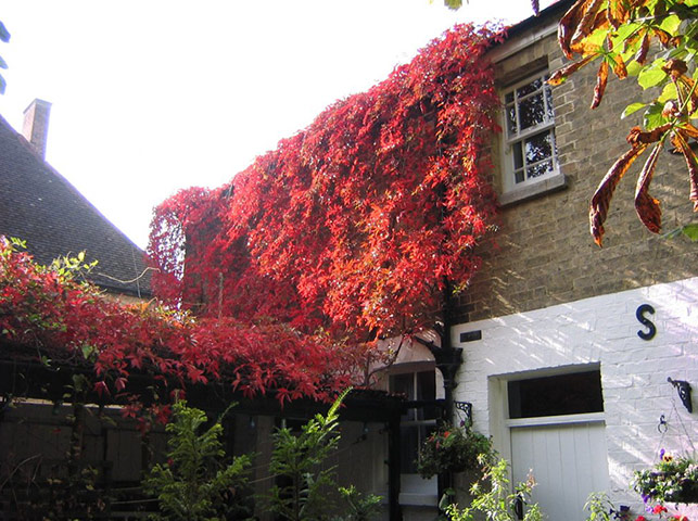 Cool Cottages:Cambridgesh: The Coach House ext 2