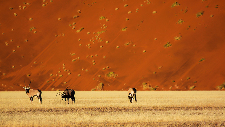 http://static.guim.co.uk/sys-images/Guardian/Pix/pictures/2013/9/26/1380221697499/The-bright-orange-landsca-045.jpg