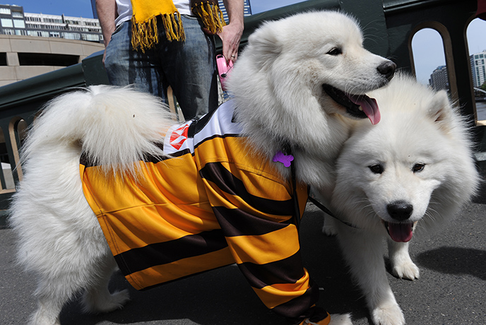 AFL grand final parade – in pictures