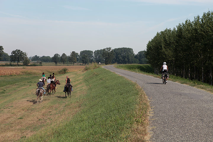 River Po cycle path: Cyclists in Santo Stefano