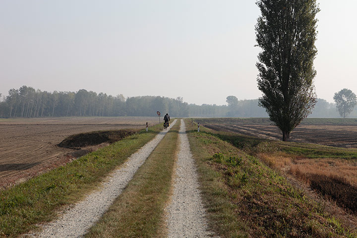 River Po cycle path: Frassinetto Po 