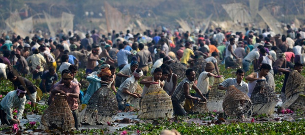 Villagers with their fishing nets and fishing baskets are engaged in a community fishing on the occasion of Magh Bihu festival in Panibari village on the outskirts of Guwahati city, India. The festival marks the end of the winter harvesting and is celebrated on the first day of 'Magh' month of Assamese calendar.