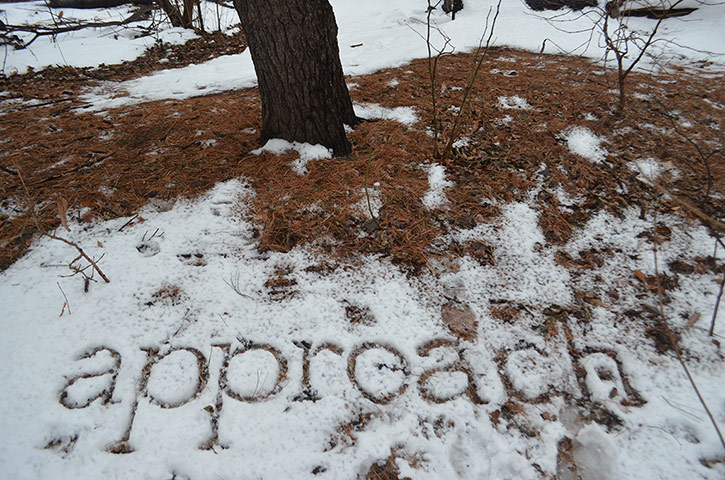 Snow:  
