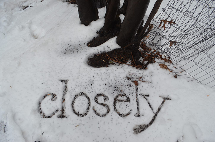 Snow:  