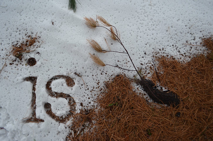 Snow:  