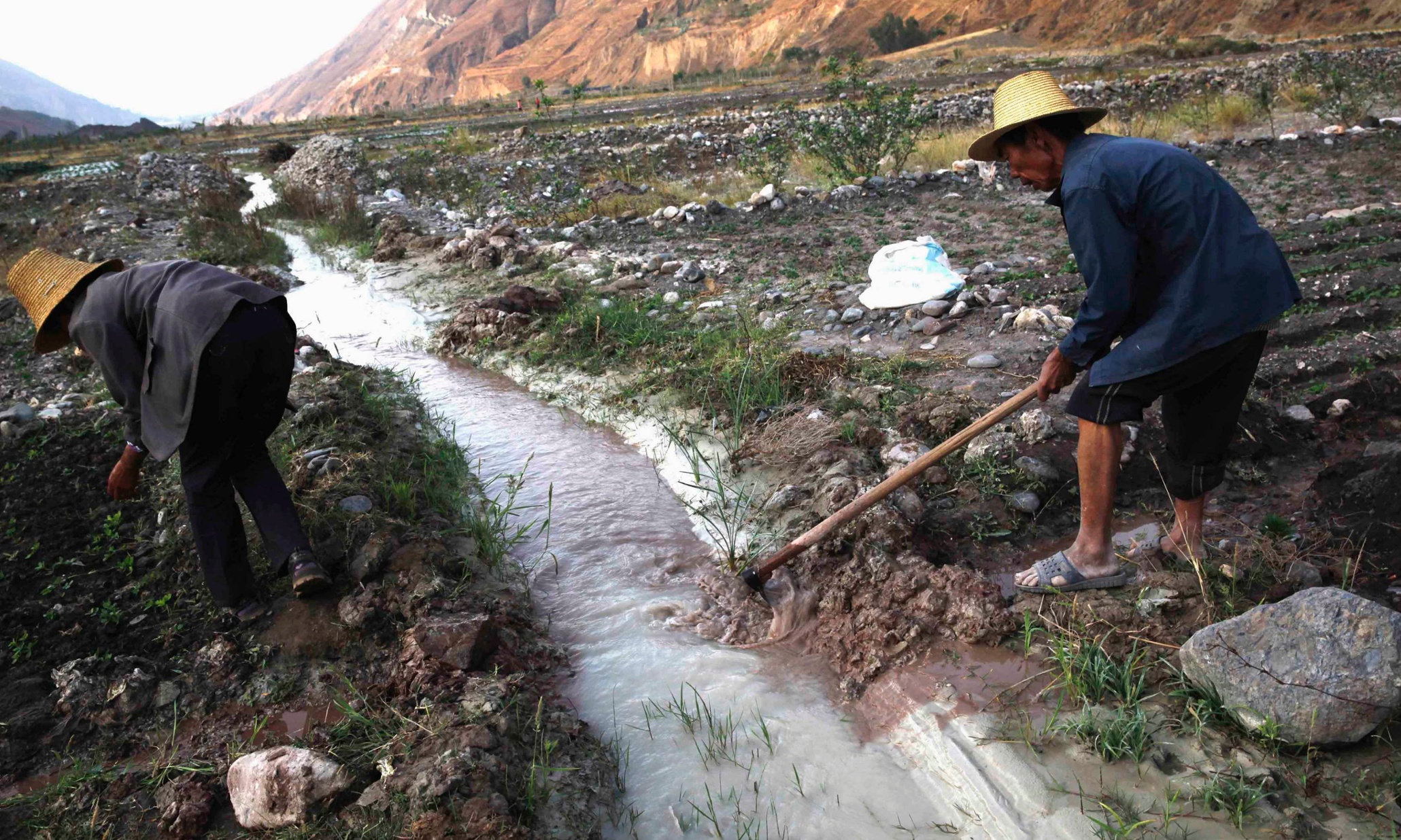 china-could-lose-millions-of-hectares-of-farmland-to-pollution