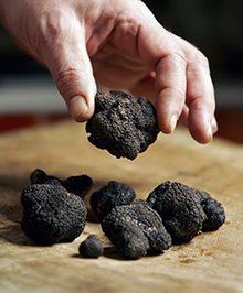 Black truffles