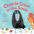 Family reviews: Charlie Crow in the Snow 