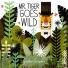 Family reviews: Mr Tiger Goes Wild by Peter Brown