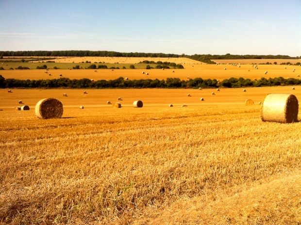 Quintessentially British scene in east Kent