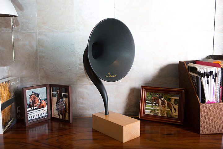 5 Things: Gramovox™ Bluetooth Gramophone