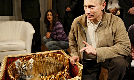 Vladimir Putin with  tiger cub