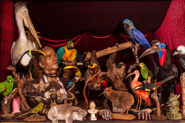 The Viktor Wynd Museum Of Curiosities In Pictures Art And Design The Guardian