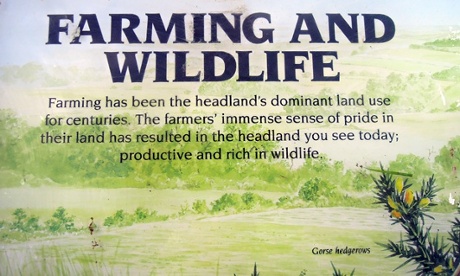 Yorkshire Wildlife Trust storyboard on farming and wildlife at Flamborough