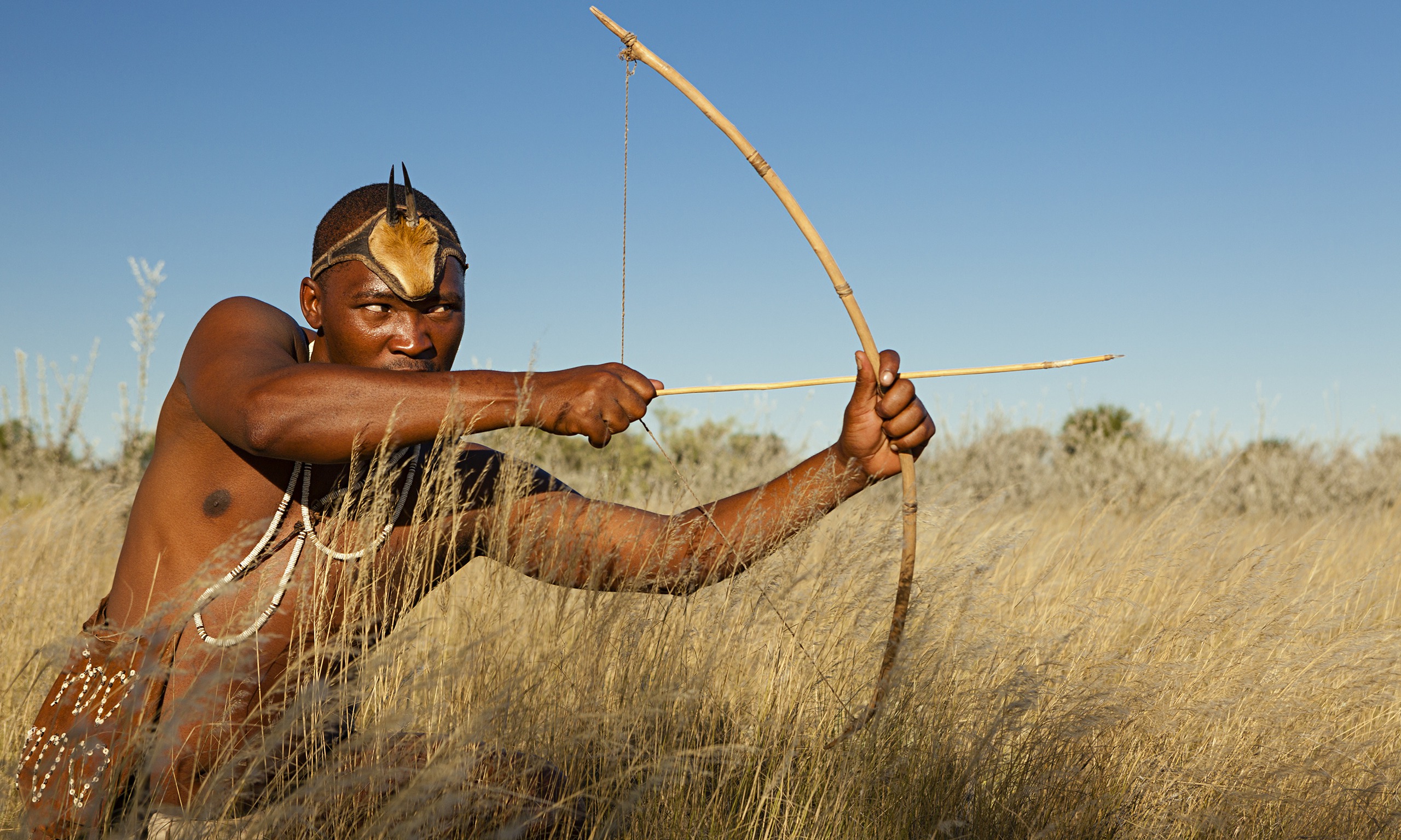 Bushmen evicted wilderness - Le Blog du corps