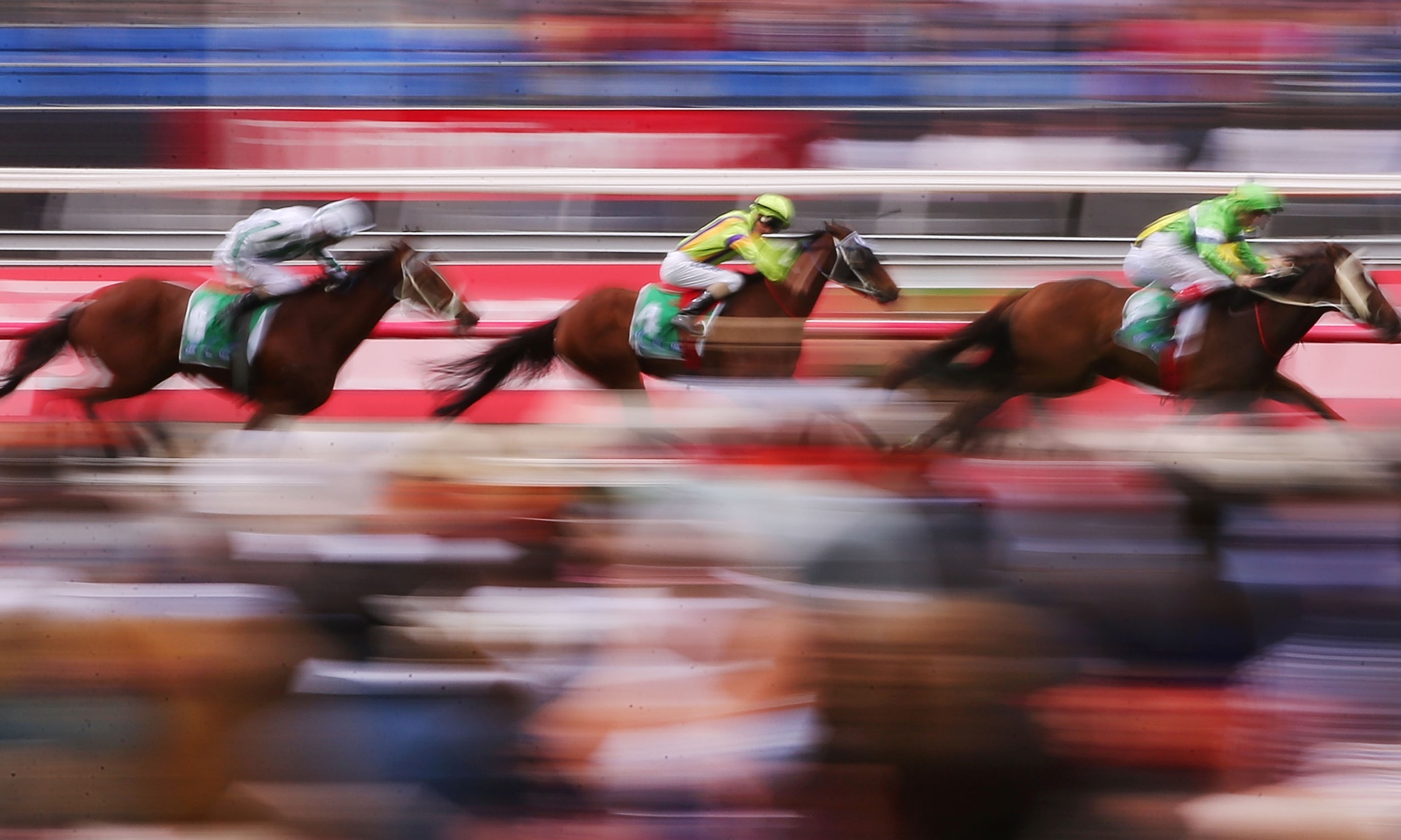 Melbourne Cup 2014 Result Protectionist Wins The Race As It Happened