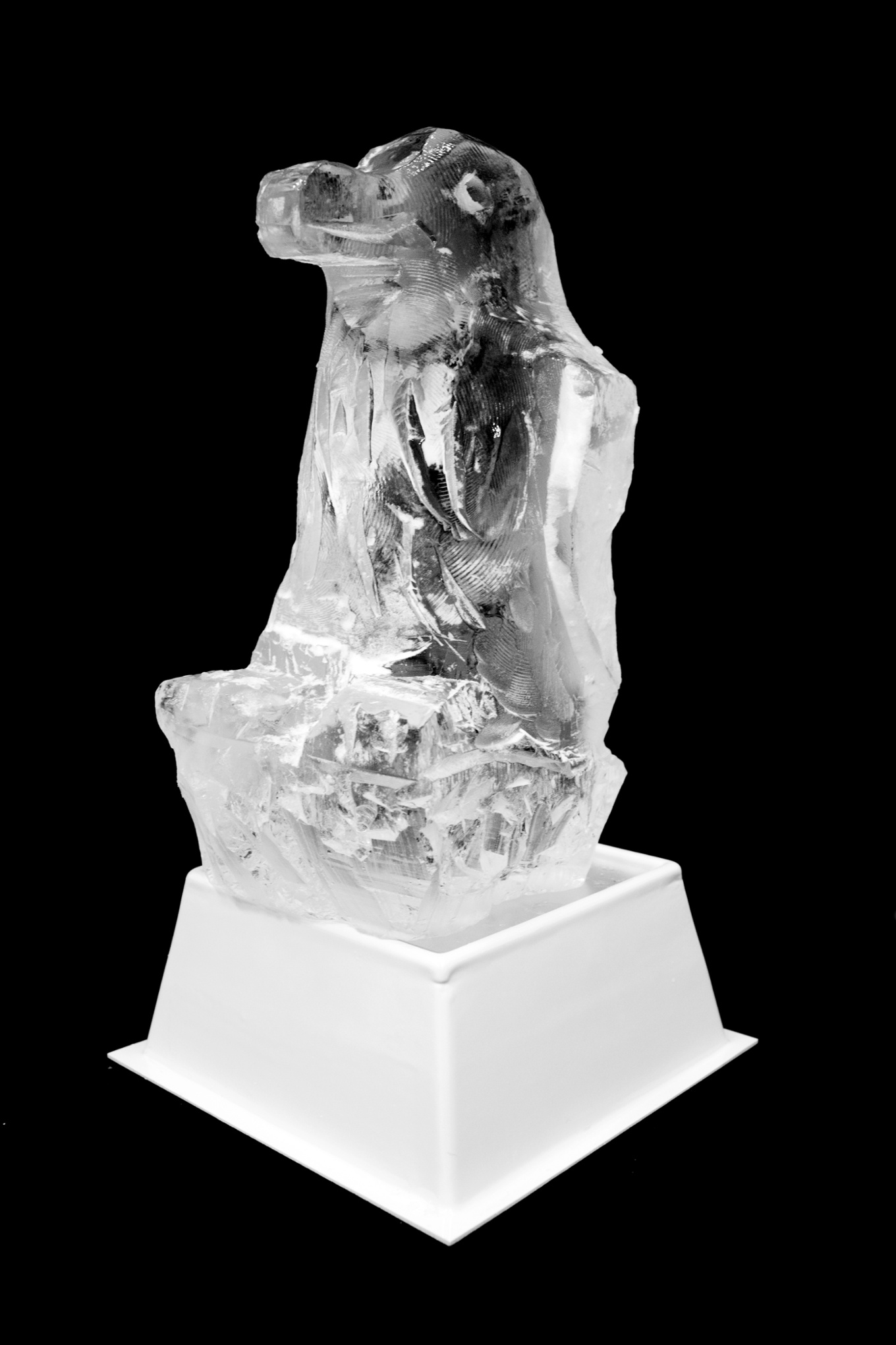 Turning a block of ice into a penguin – in pictures
